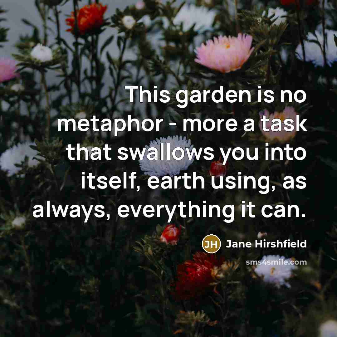“This garden is no metaphor - more a task that…” quote by Jane Hirshfield