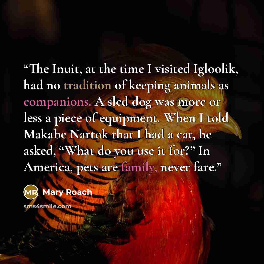 “The Inuit, at the time I visited Igloolik, had no tradition of keeping animals as companions. A sled dog was more or less a piece of equipment. When I told Makabe Nartok that I had a cat, he asked, “What do you use it for?” In America, pets are family, never fare.” quote by Mary Roach