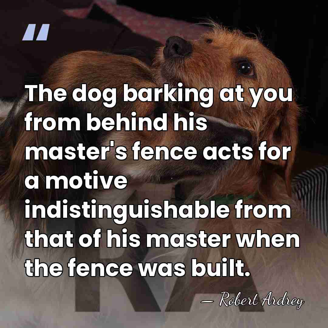 The dog barking at you from behind his master's fence acts for&hellip; - Robert Ardrey
