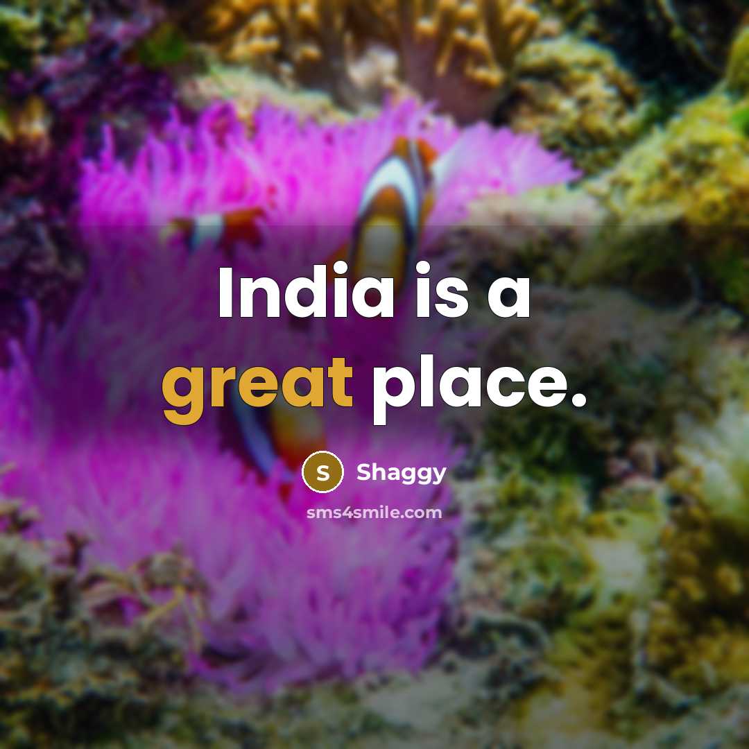 “India is a great place.…” quote by Shaggy