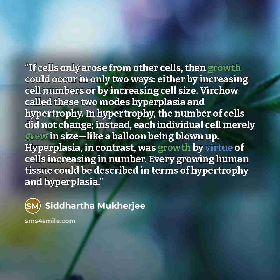 “If cells only arose from other cells, then growth could occur in only two ways: either by increasing cell numbers or by increasing cell size. Virchow called these two modes hyperplasia and hypertrophy. In hypertrophy, the number of cells did not change; instead, each individual cell merely grew in…” quote by Siddhartha Mukherjee
