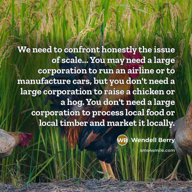 “We need to confront honestly the issue of scale... You…” quote by Wendell Berry