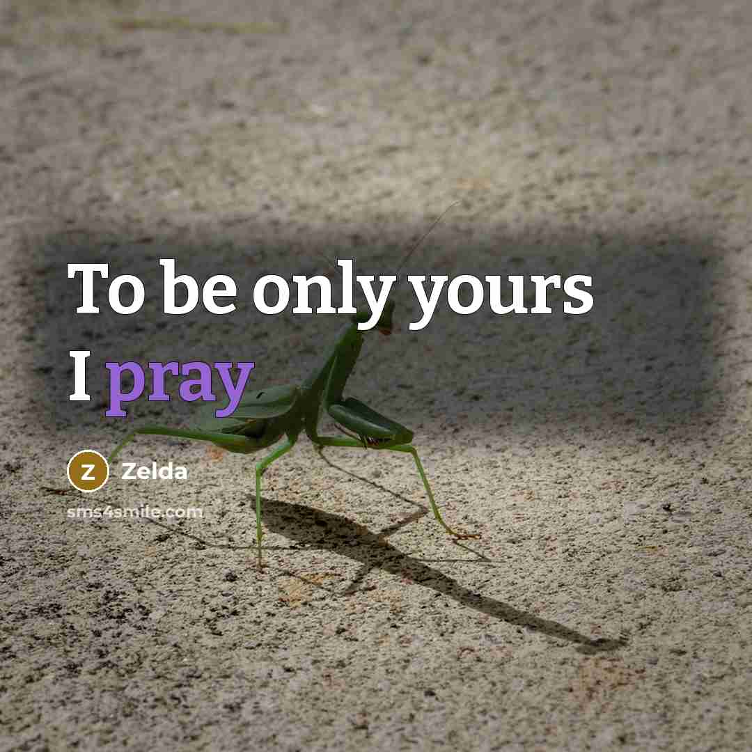 “To be only yours I pray…” quote by Zelda