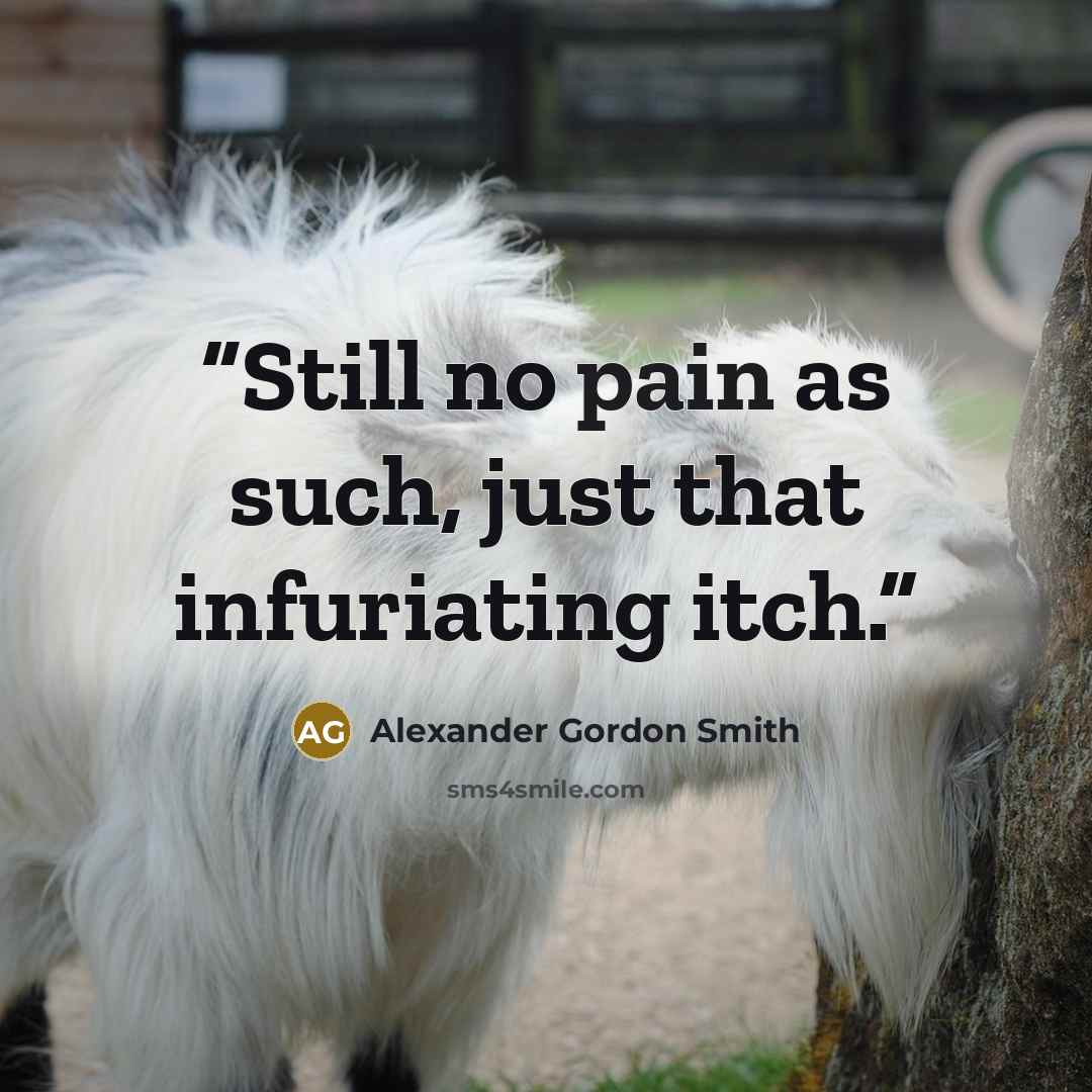 “Still no pain as such, just that infuriating itch.” quote by Alexander Gordon Smith