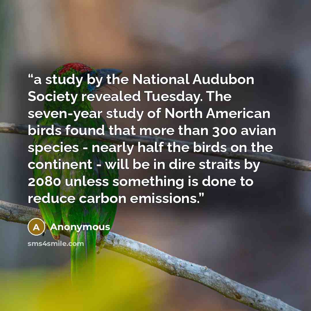 “a study by the National Audubon Society revealed Tuesday. The seven-year study of North American birds found that more than 300 avian species - nearly half the birds on the continent - will be in dire straits by 2080 unless something is done to reduce carbon emissions.” quote by Anonymous