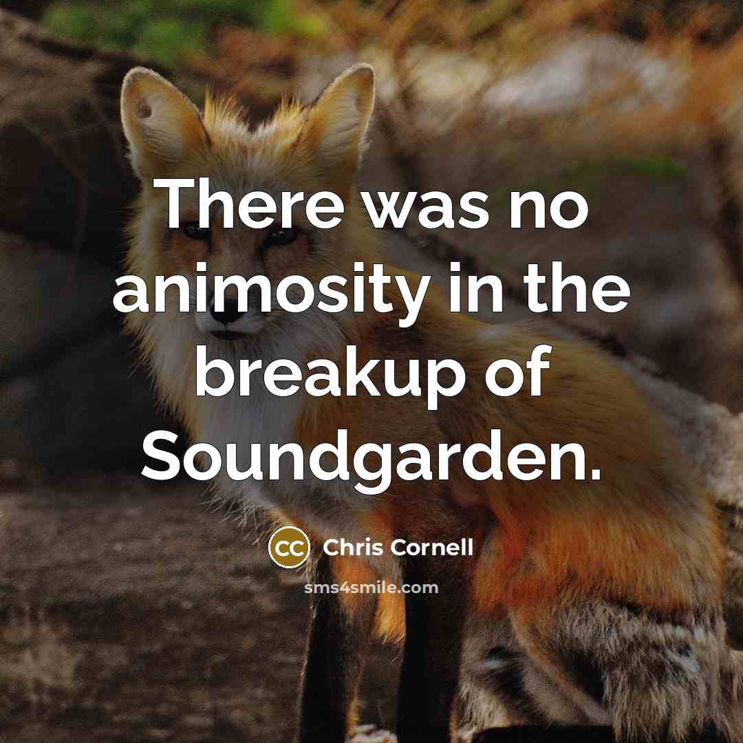 “There was no animosity in the breakup of Soundgarden.…” quote by Chris Cornell
