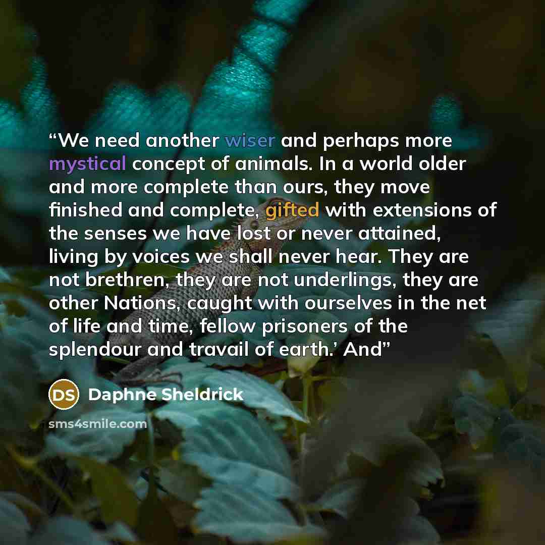 “We need another wiser and perhaps more mystical concept of animals. In a world older and more complete than ours, they move finished and complete, gifted with extensions of the senses we have lost or never attained, living by voices we shall never hear. They are not brethren, they are not…” quote by Daphne Sheldrick