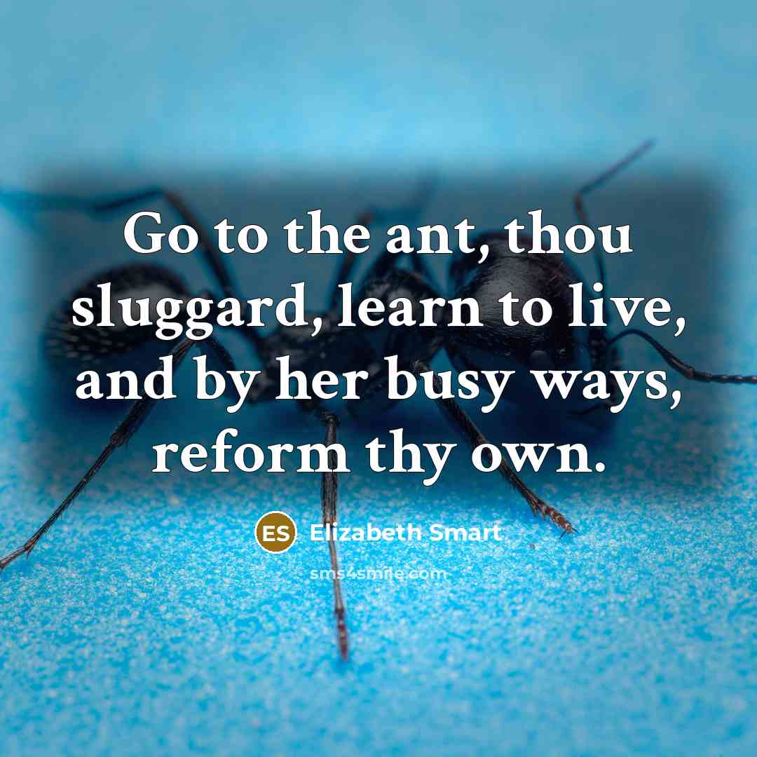 “Go to the ant, thou sluggard, learn to live, and…” quote by Elizabeth Smart