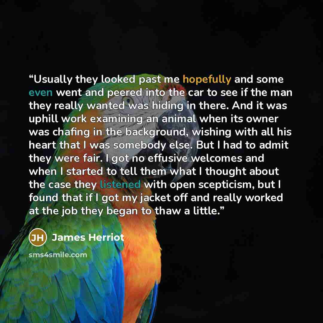 “Usually they looked past me hopefully and some even went and peered into the car to see if the man they really wanted was hiding in there. And it was uphill work examining an animal when its owner was chafing in the background, wishing with all his heart that I was somebody else. But I had to…” quote by James Herriot