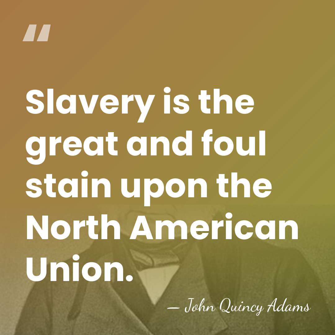 Slavery is the great and foul stain upon the North American Union. - John Quincy Adams