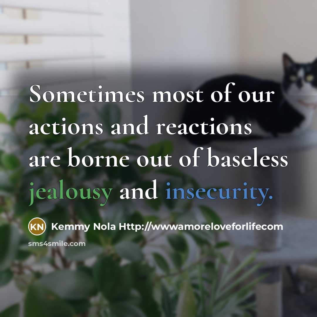 “Sometimes most of our actions and reactions are borne out of baseless jealousy and insecurity.” quote by Kemmy Nola Http://wwwamoreloveforlifecom