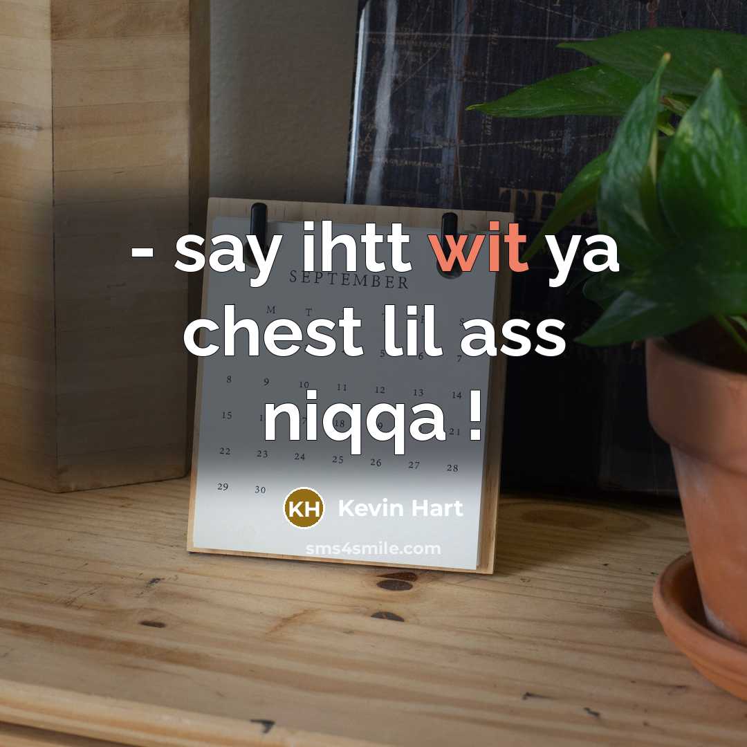 “- say ihtt wit ya chest lil ass niqqa !…” quote by Kevin Hart