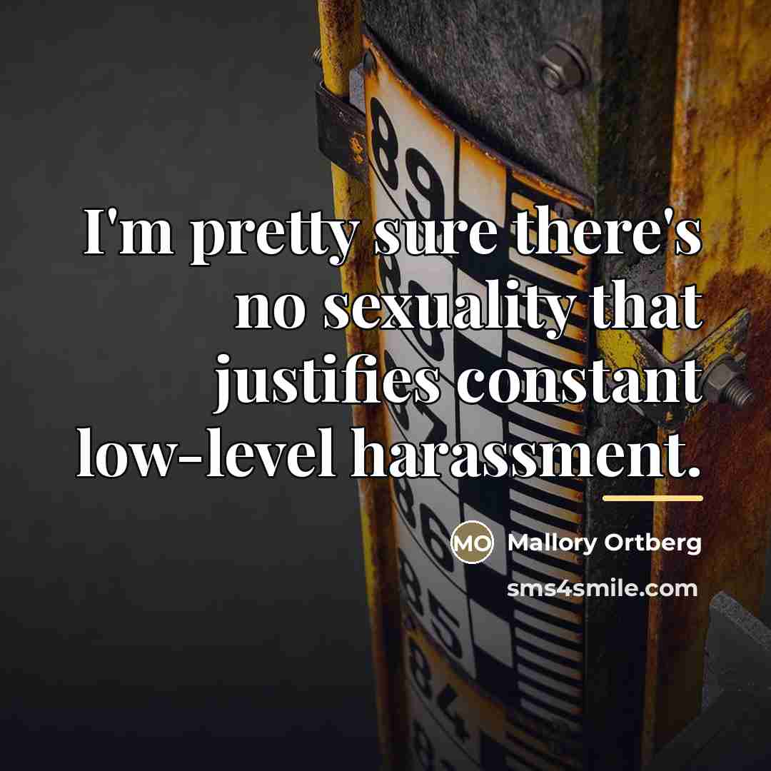 “I'm pretty sure there's no sexuality that justifies constant low-level…” quote by Mallory Ortberg