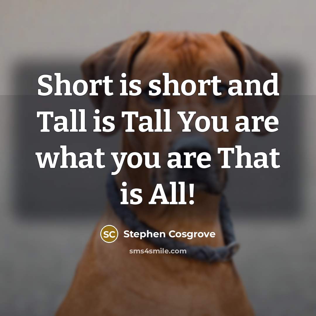“Short is short and Tall is Tall You are what…” quote by Stephen Cosgrove
