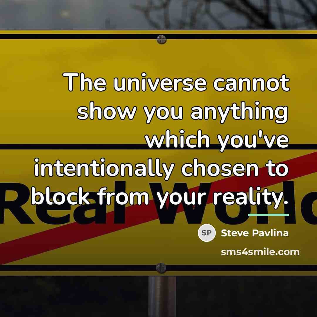 “The universe cannot show you anything which you've intentionally chosen…” quote by Steve Pavlina