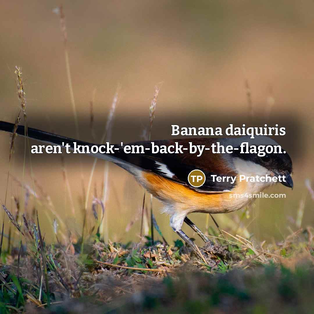 “Banana daiquiris aren't knock-'em-back-by-the-flagon.…” quote by Terry Pratchett