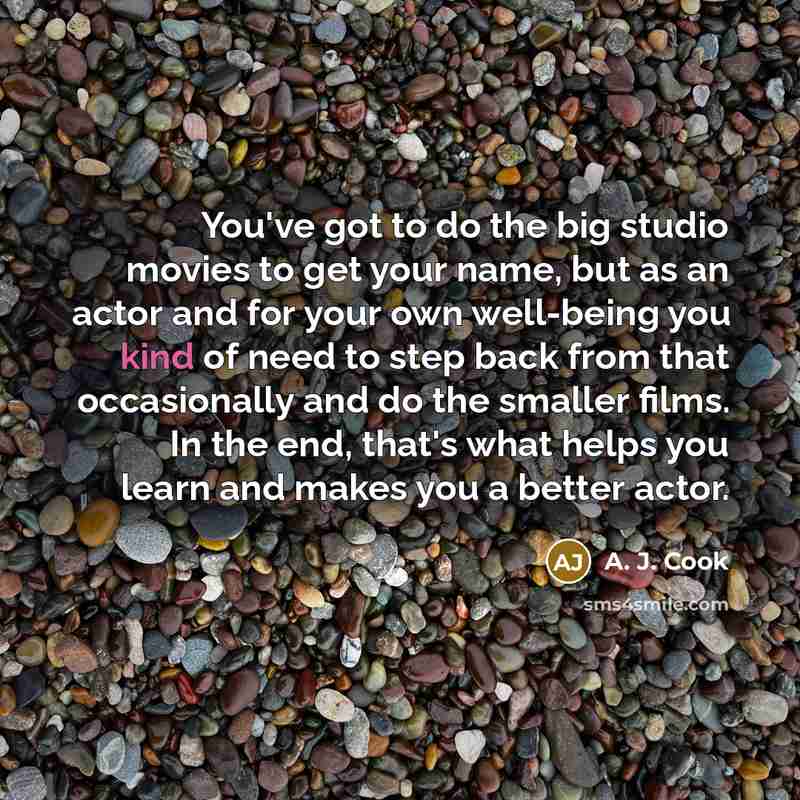“You've got to do the big studio movies to get…” quote by A. J. Cook