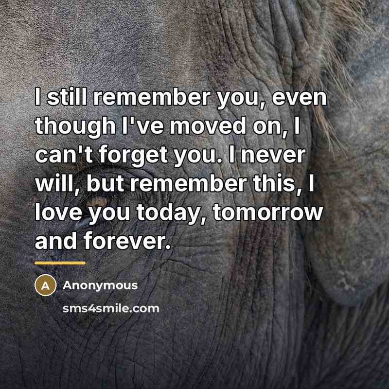 “I still remember you, even though I've moved on, I…” quote by Anonymous