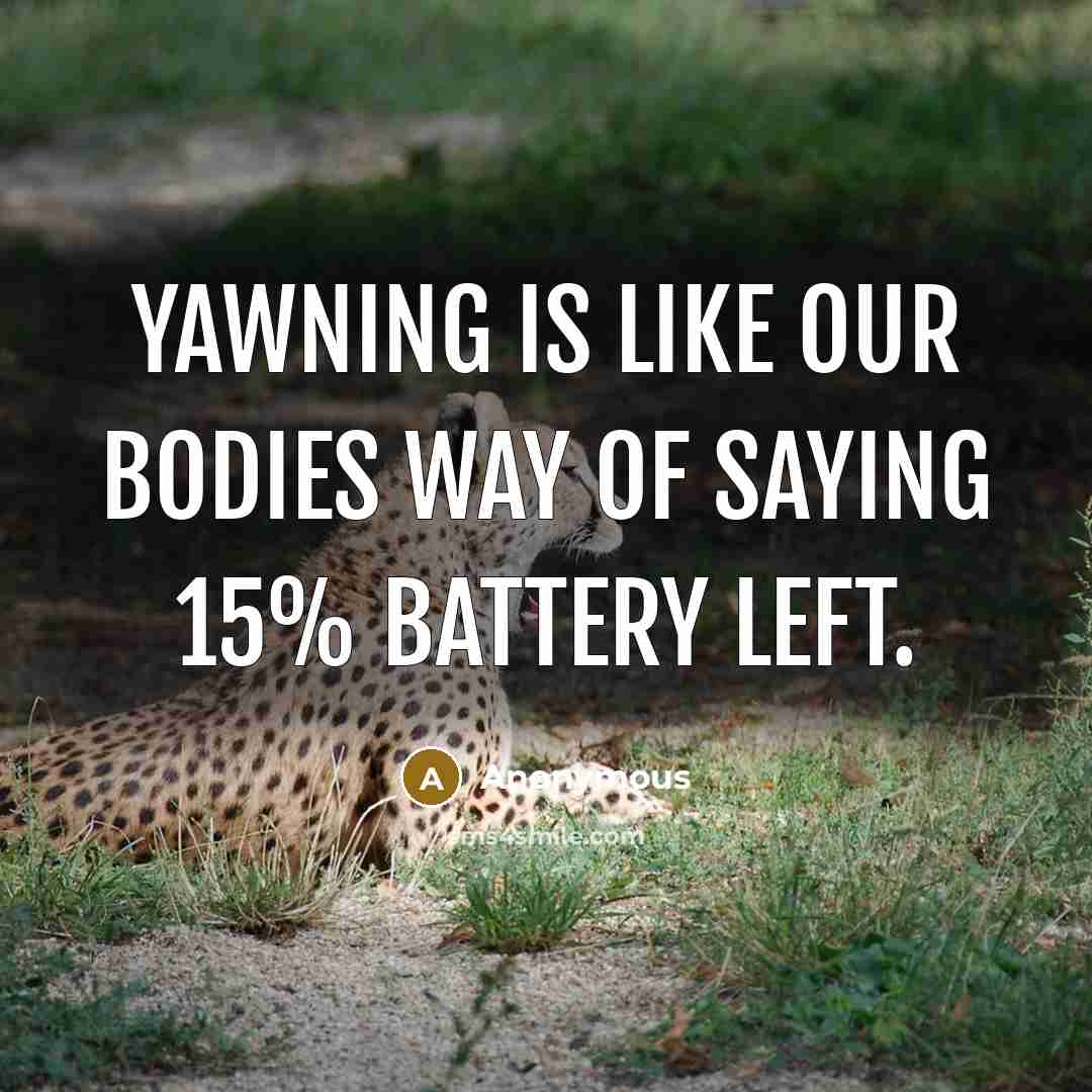 “Yawning is like our bodies way of saying 15% battery…” quote by Anonymous