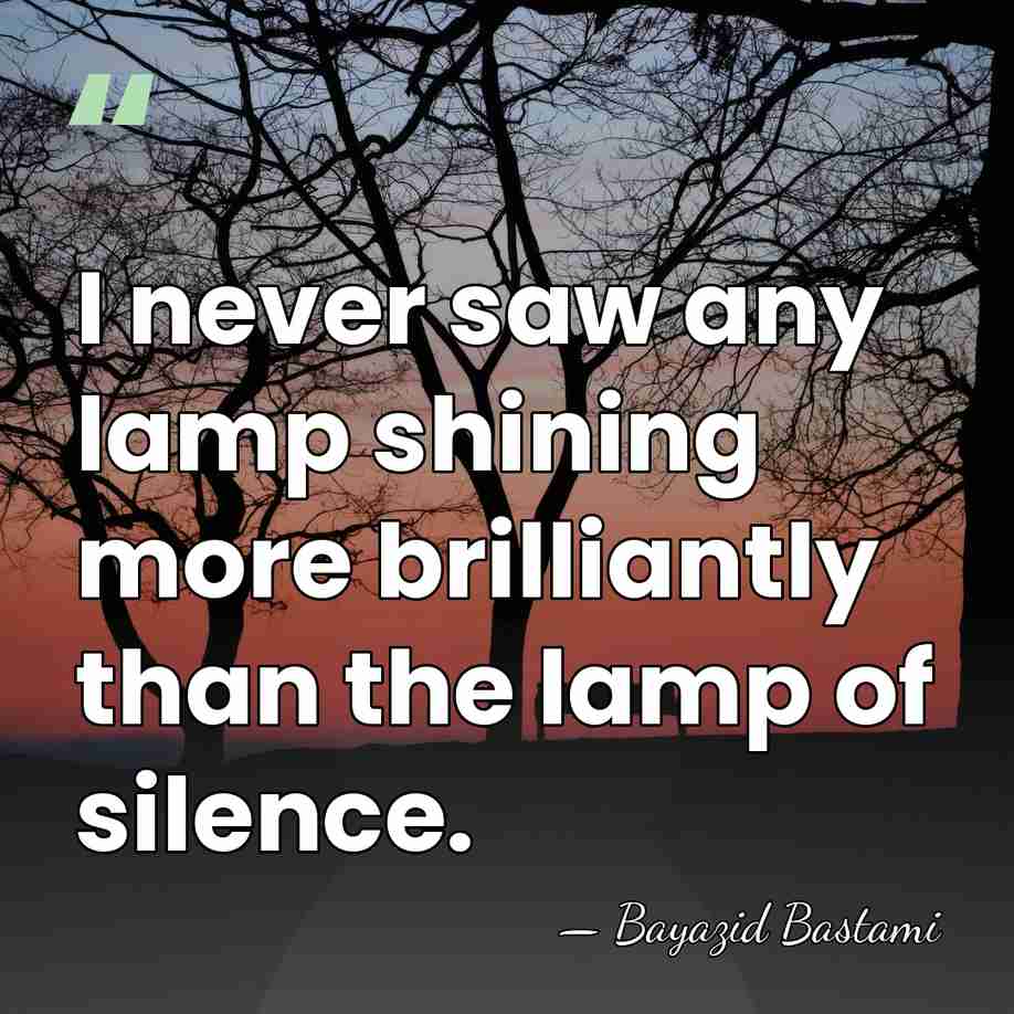 I never saw any lamp shining more brilliantly than the lamp of&hellip; - Bayazid Bastami