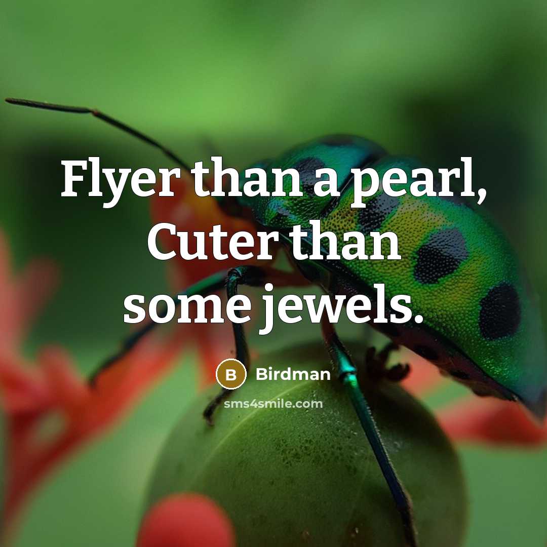 “Flyer than a pearl, Cuter than some jewels.…” quote by Birdman