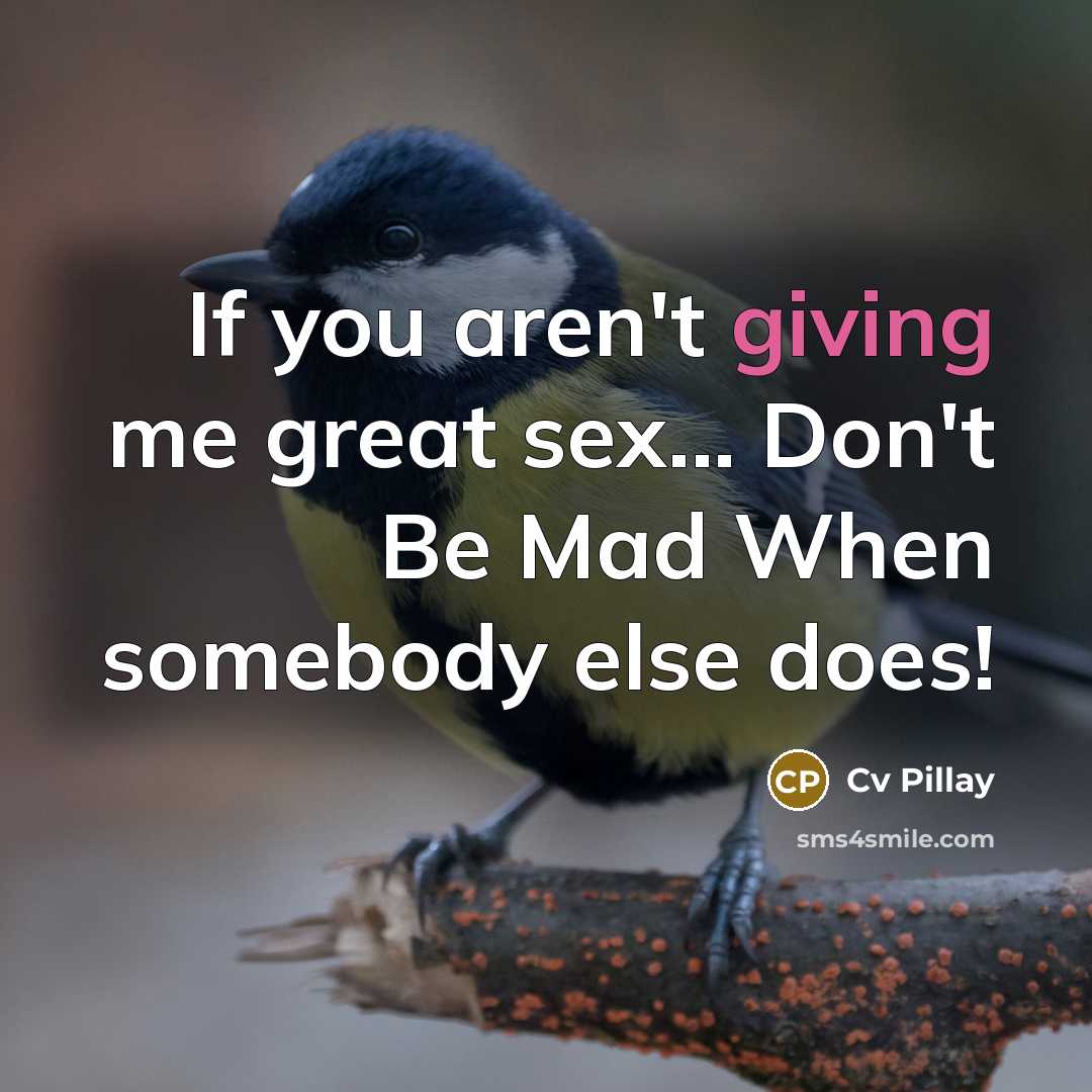 “If you aren't giving me great sex... Don't Be Mad…” quote by Cv Pillay