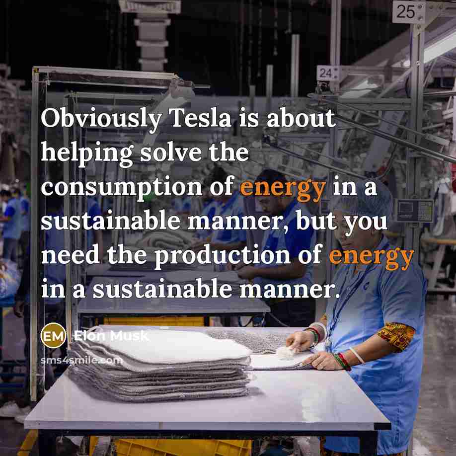 “Obviously Tesla is about helping solve the consumption of energy…” quote by Elon Musk