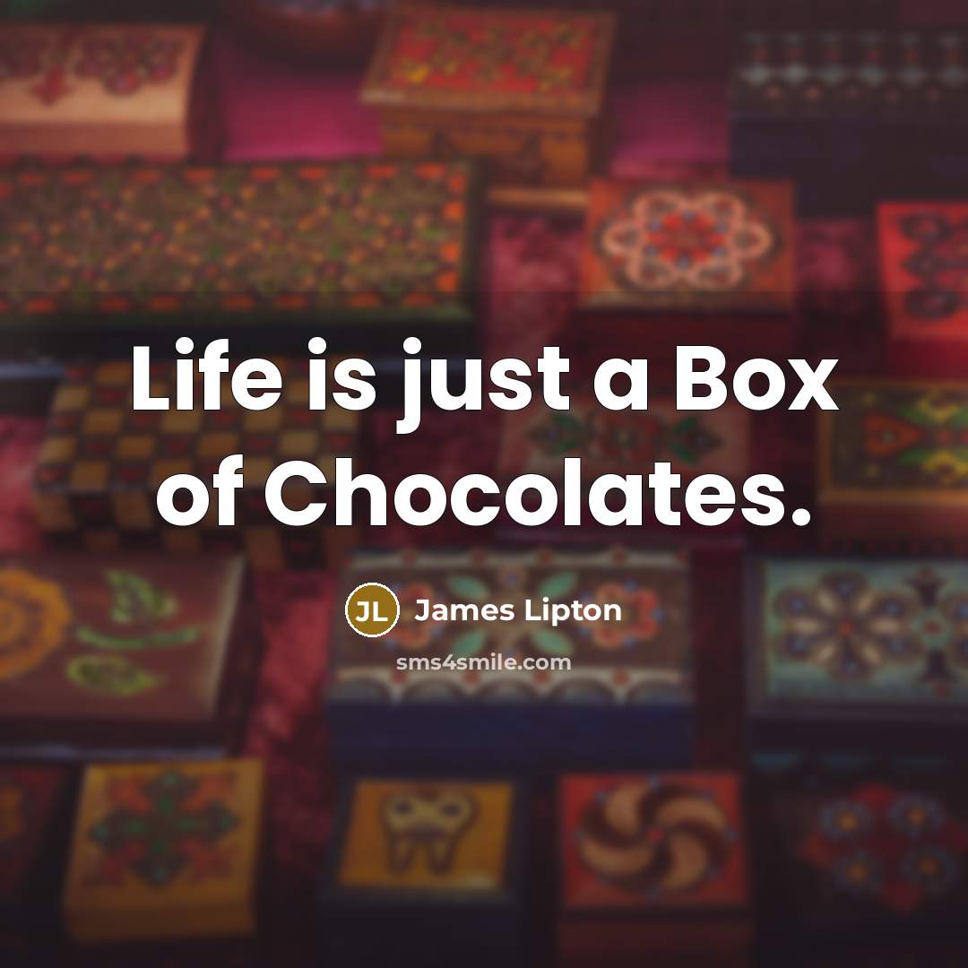 “Life is just a Box of Chocolates.…” quote by James Lipton