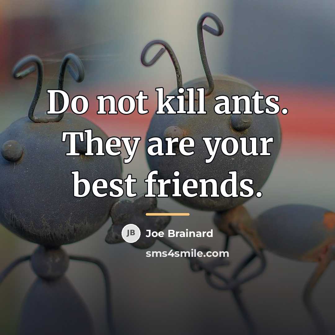 “Do not kill ants. They are your best friends.…” quote by Joe Brainard