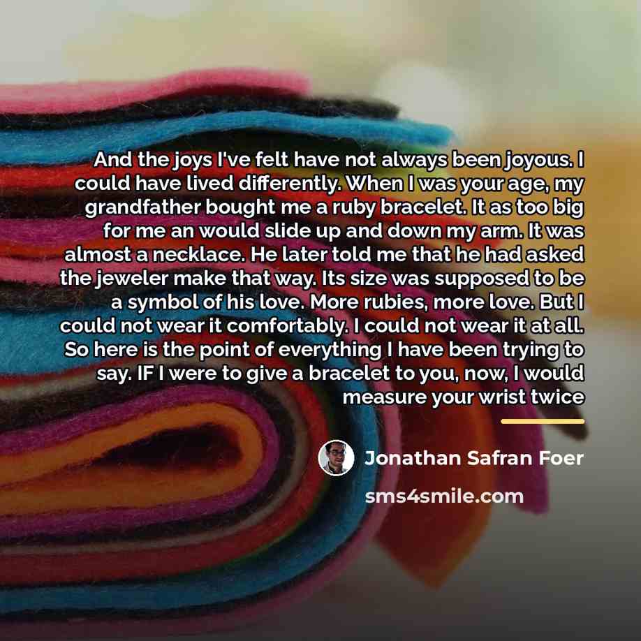 “And the joys I've felt have not always been joyous.…” quote by Jonathan Safran Foer