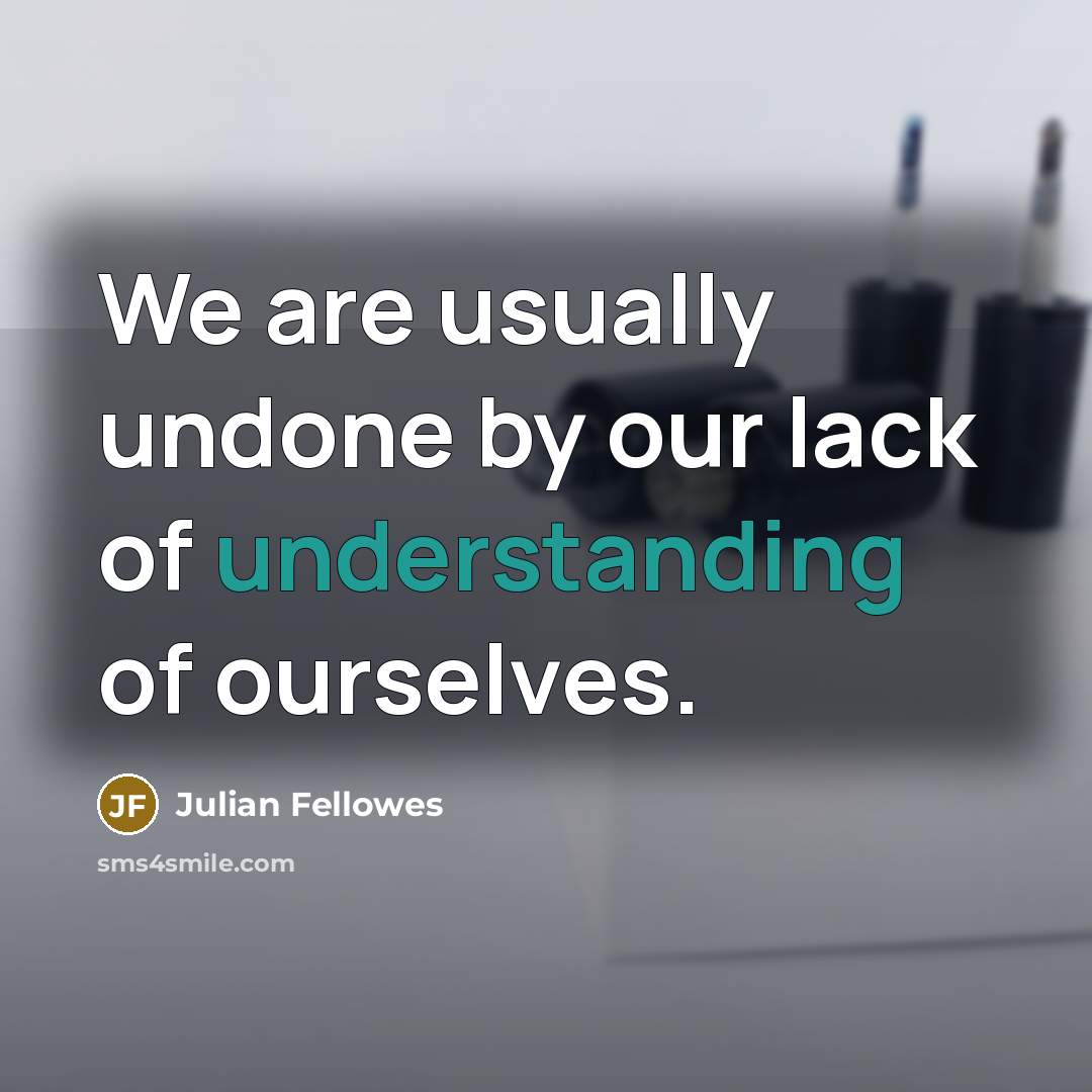 “We are usually undone by our lack of understanding of…” quote by Julian Fellowes