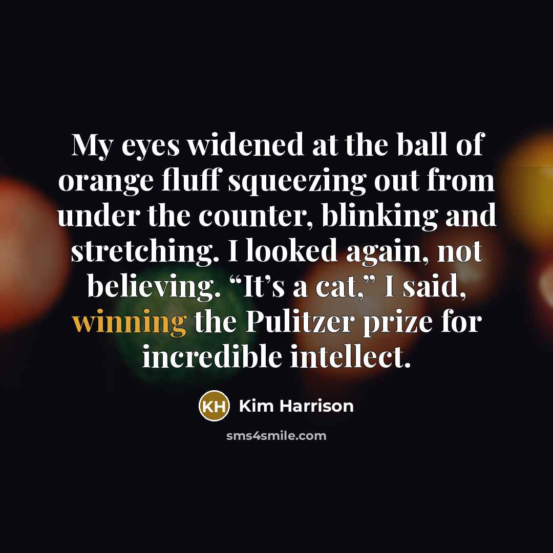 “My eyes widened at the ball of orange fluff squeezing…” quote by Kim Harrison