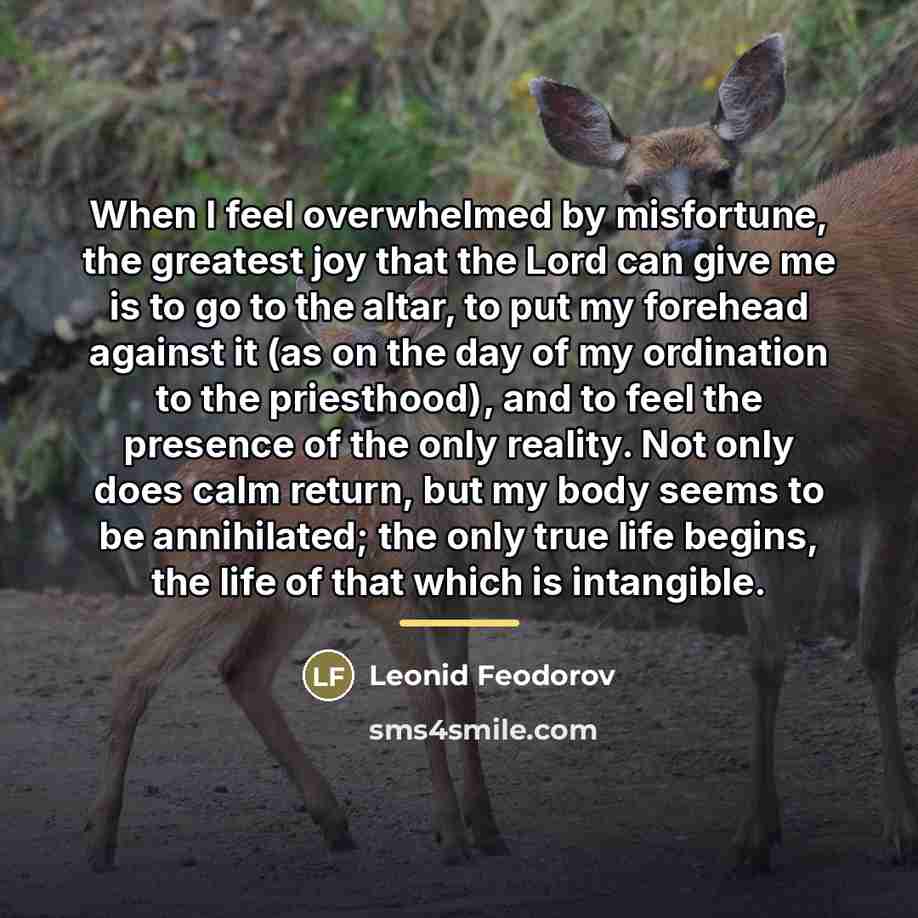 “When I feel overwhelmed by misfortune, the greatest joy that…” quote by Leonid Feodorov