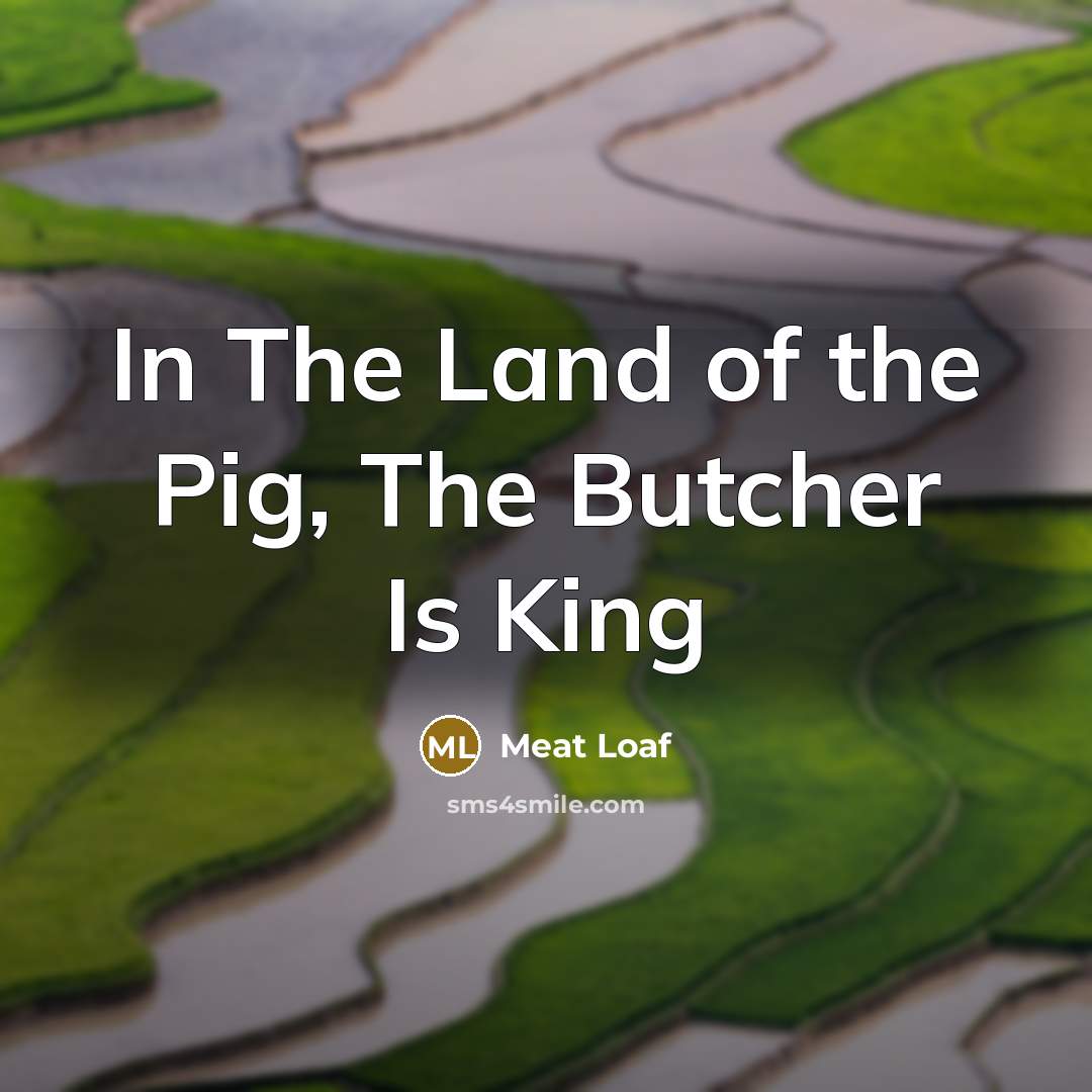 “In The Land of the Pig, The Butcher Is King” quote by Meat Loaf