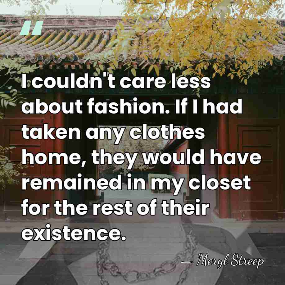 I couldn't care less about fashion. If I had taken any clothes&hellip; - Meryl Streep