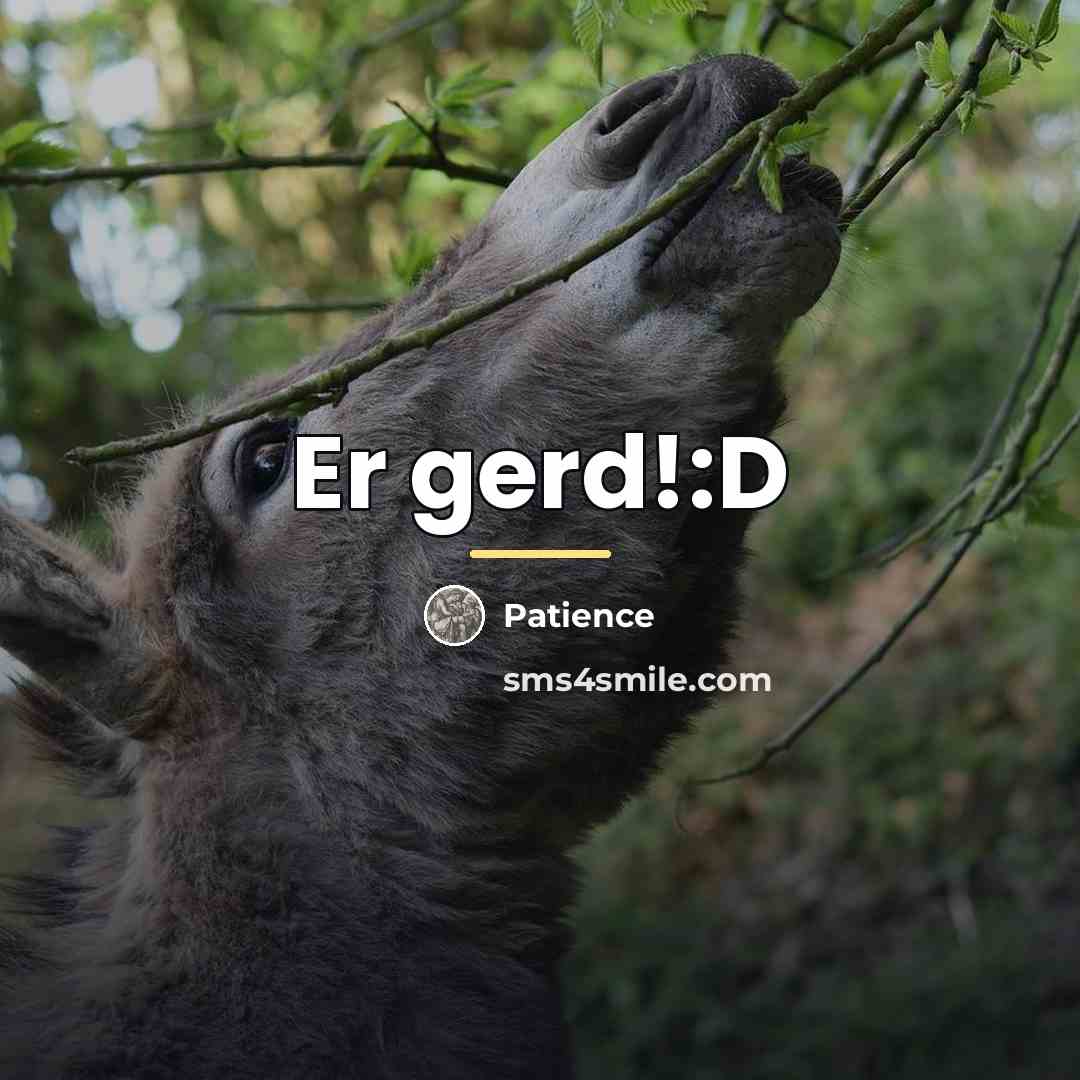 “Er gerd!:D…” quote by Patience