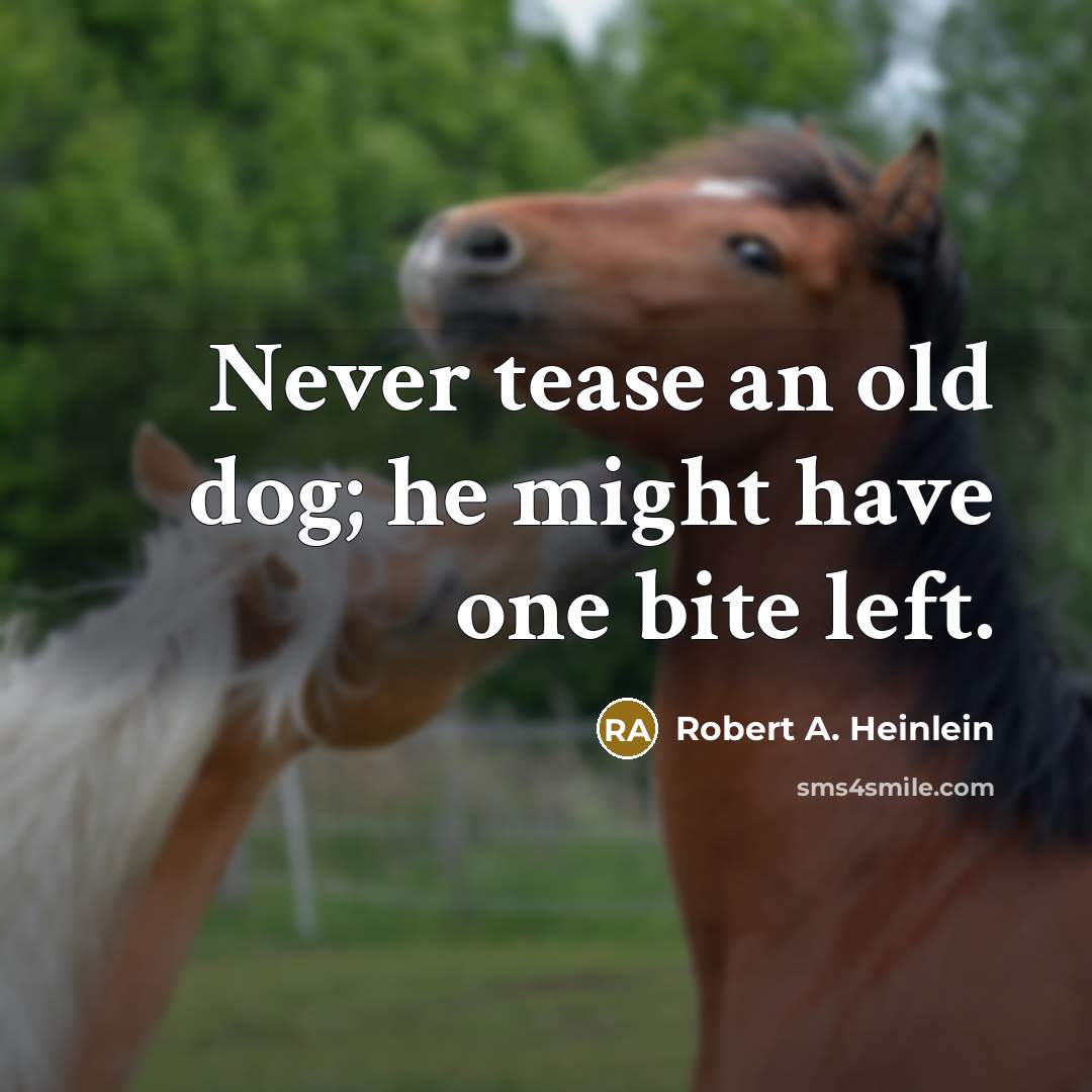 “Never tease an old dog; he might have one bite…” quote by Robert A. Heinlein