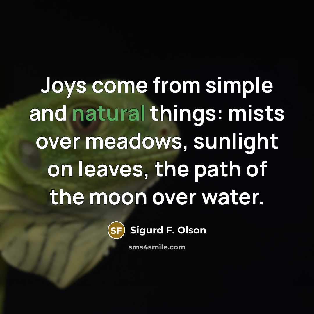 “Joys come from simple and natural things: mists over meadows,…” quote by Sigurd F. Olson
