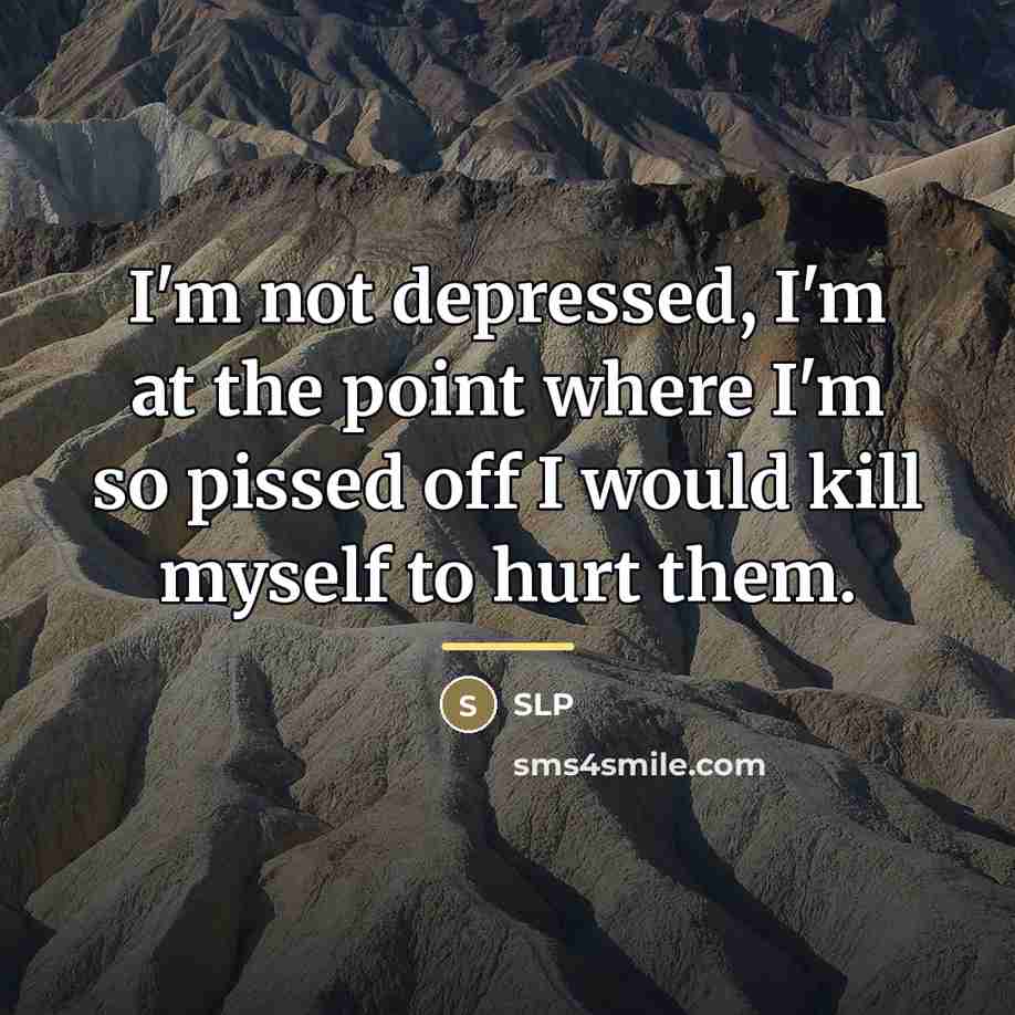 “I'm not depressed, I'm at the point where I'm so…” quote by Slp