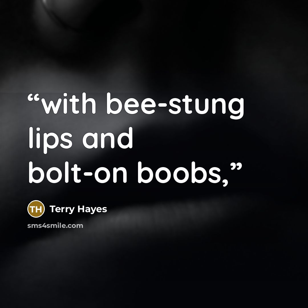 “with bee-stung lips and bolt-on boobs,” quote by Terry Hayes
