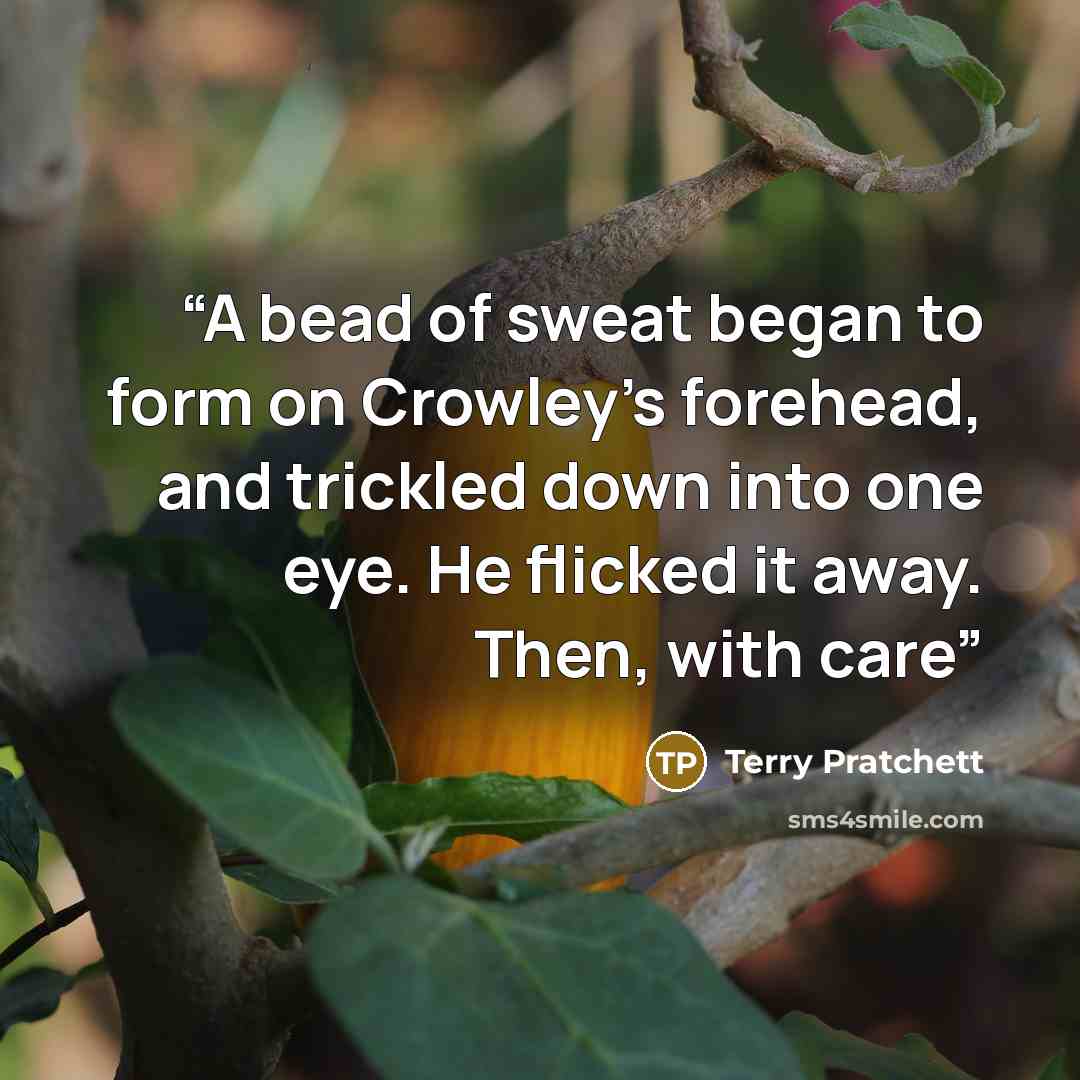 “A bead of sweat began to form on Crowley’s forehead, and trickled down into one eye. He flicked it away. Then, with care” quote by Terry Pratchett