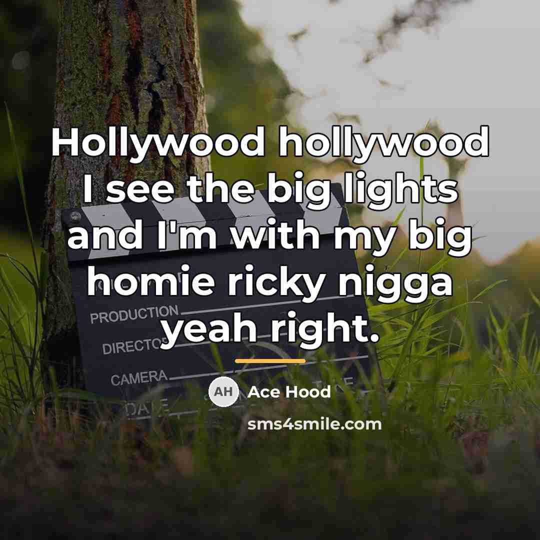 “Hollywood hollywood I see the big lights and I'm with…” quote by Ace Hood