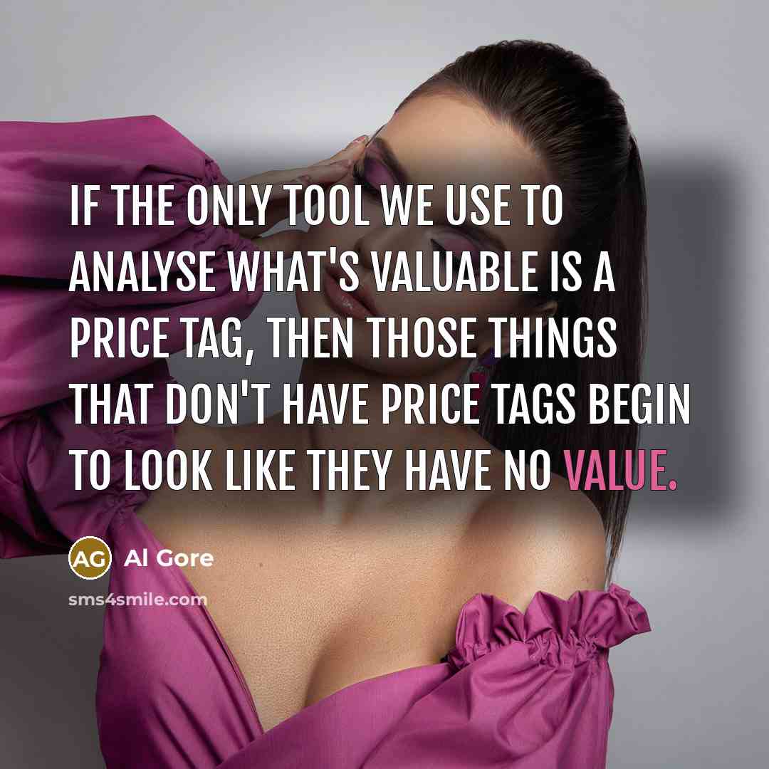 “If the only tool we use to analyse what's valuable…” quote by Al Gore