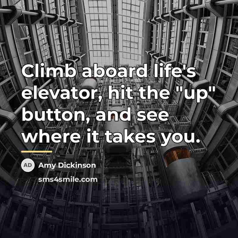 “Climb aboard life's elevator, hit the "up" button, and see…” quote by Amy Dickinson