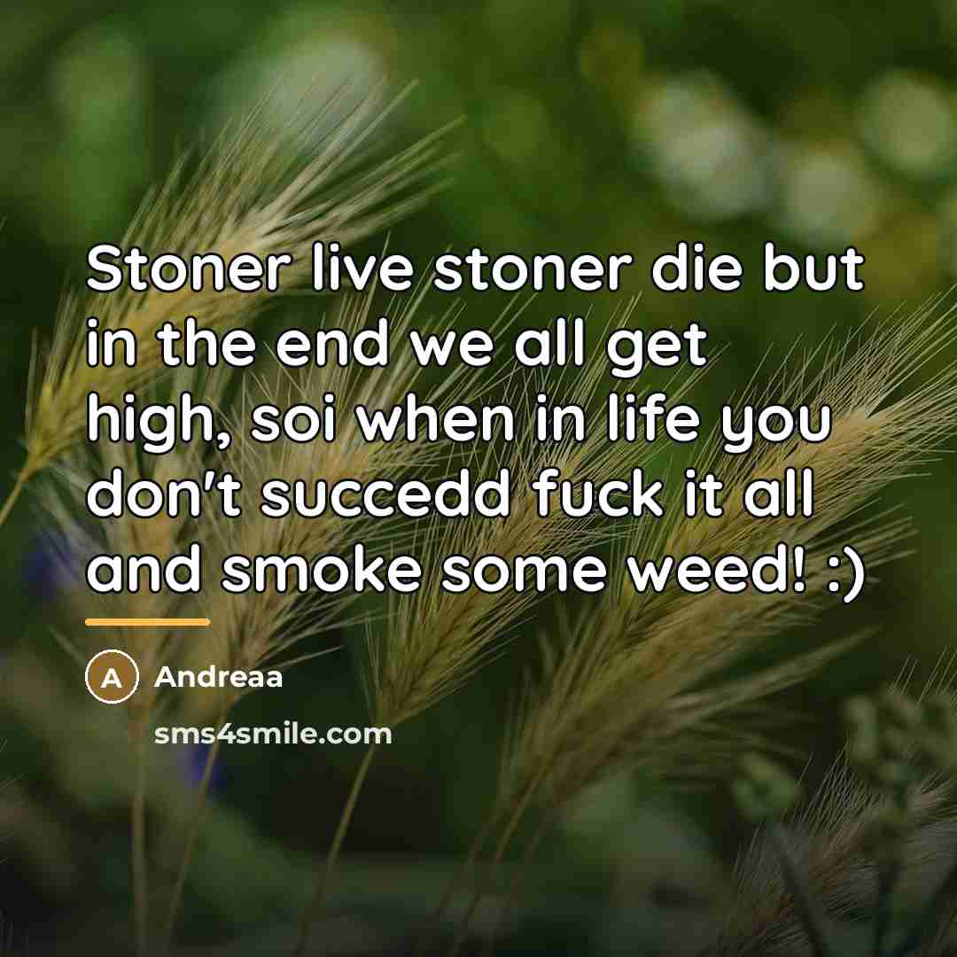 “Stoner live stoner die but in the end we all…” quote by Andreaa