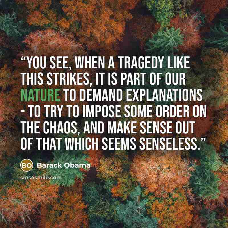 “You see, when a tragedy like this strikes, it is part of our nature to demand explanations - to try to impose some order on the chaos, and make sense out of that which seems senseless.” quote by Barack Obama