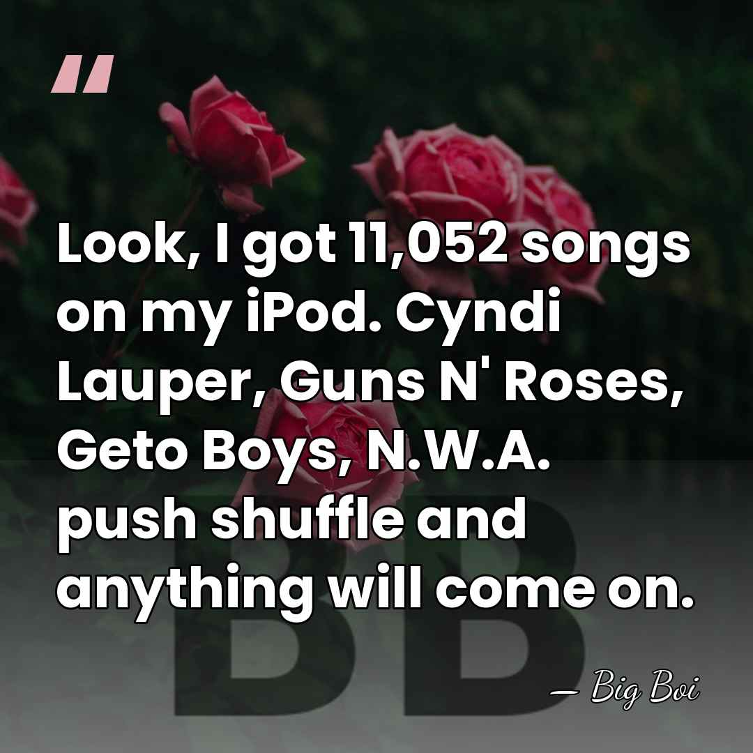 Look, I got 11,052 songs on my iPod. Cyndi Lauper, Guns N'&hellip; - Big Boi