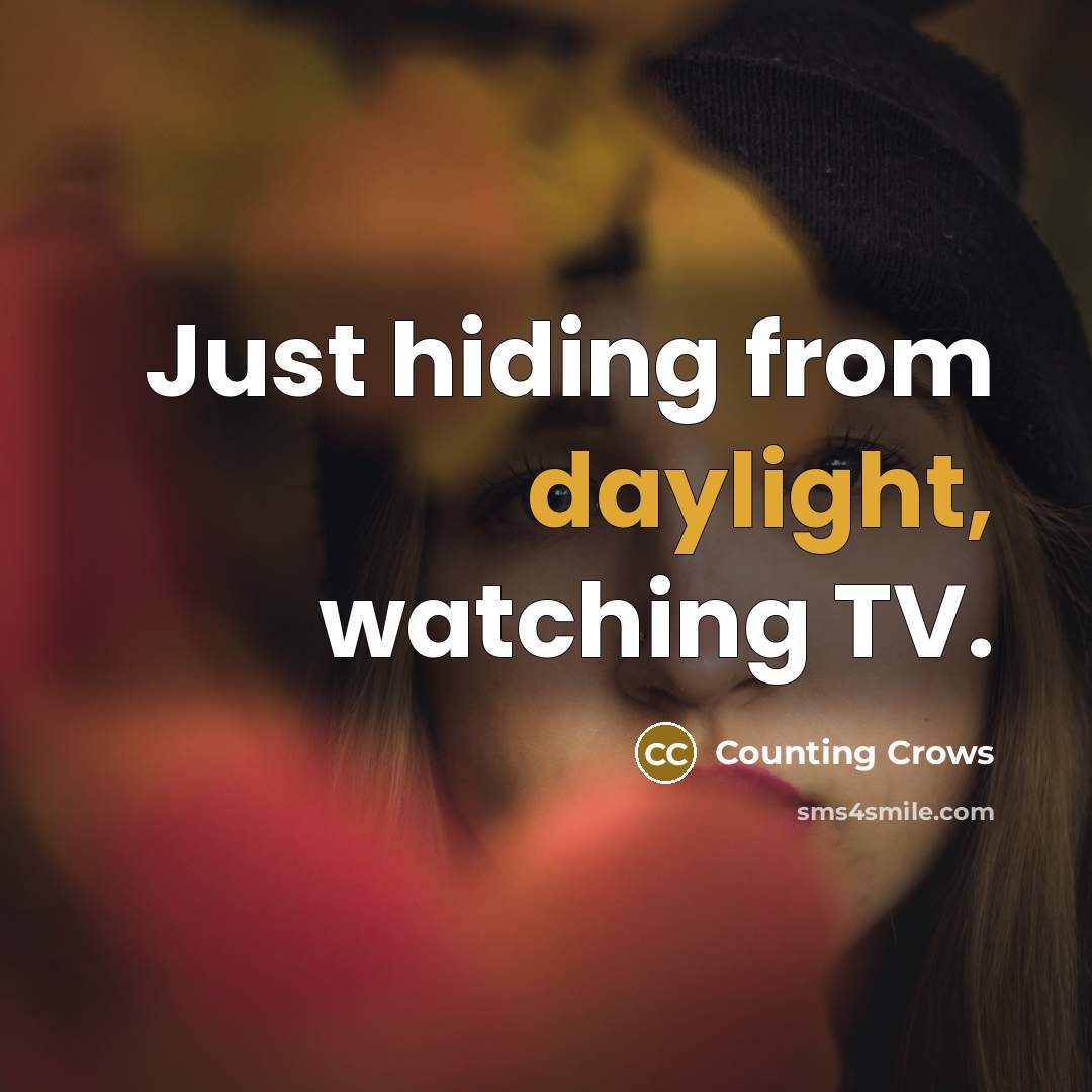 “Just hiding from daylight, watching TV.” quote by Counting Crows