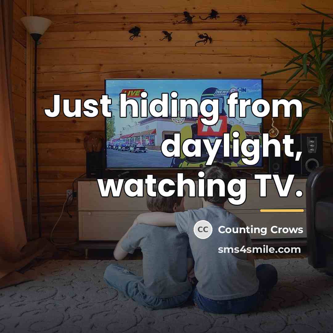 “Just hiding from daylight, watching TV.…” quote by Counting Crows