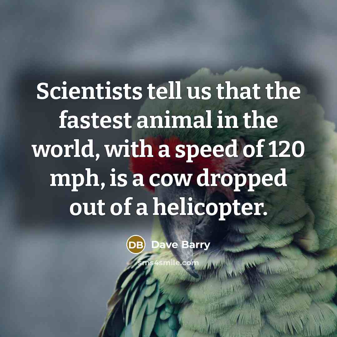 “Scientists tell us that the fastest animal in the world,…” quote by Dave Barry